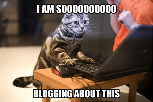 Kim the Blogger